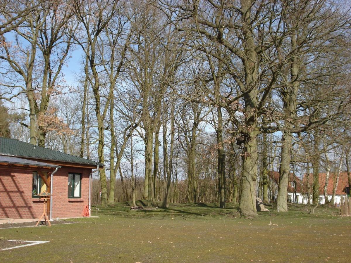 Peaceful Apartment In Zarnewanz Near Baltic Sea المظهر الخارجي الصورة